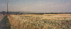 s_fr14.gif (23056 Byte)