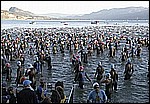 race06.jpg