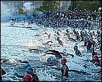 race08.jpg