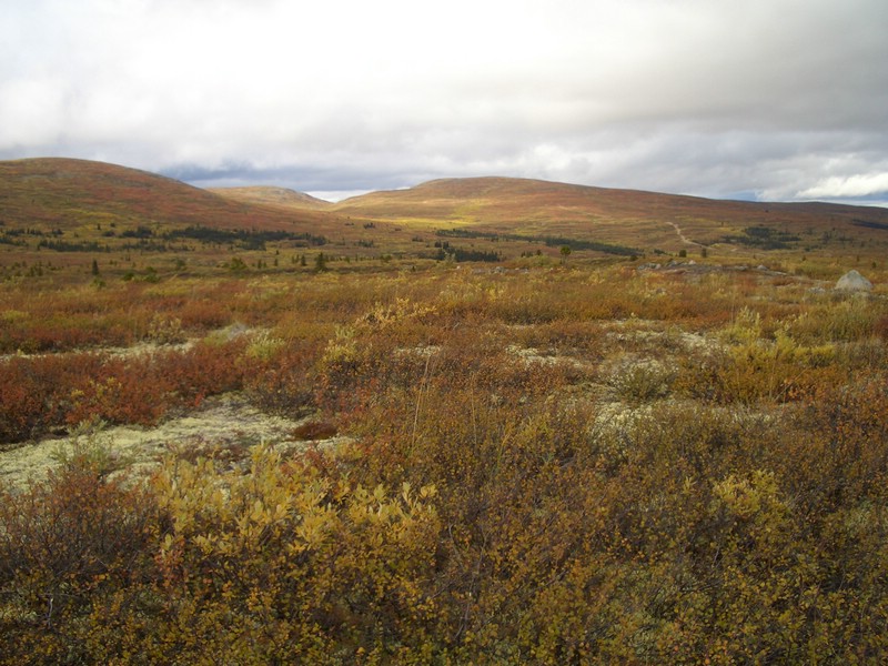 yukon069.jpg