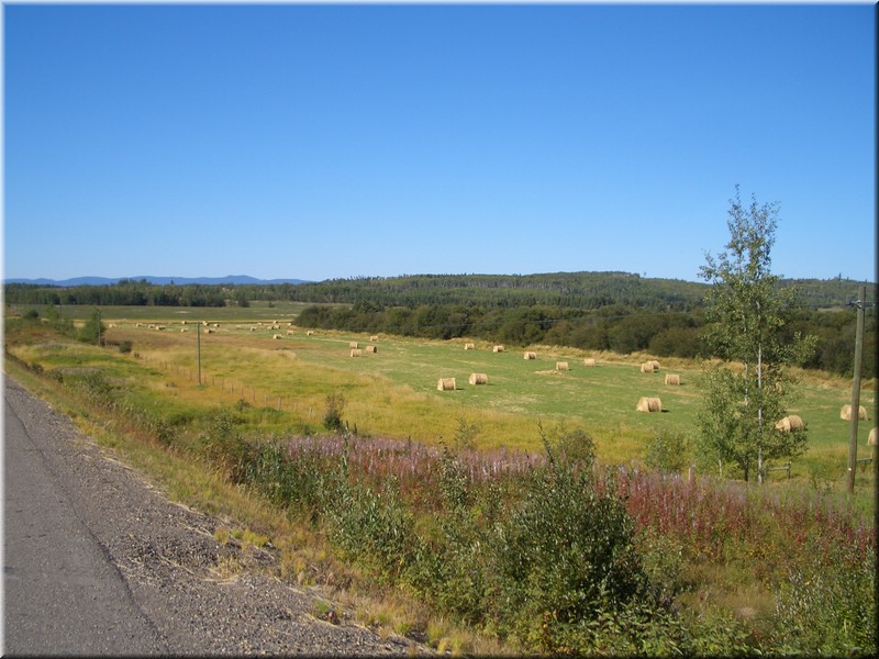 kanada06_077.jpg