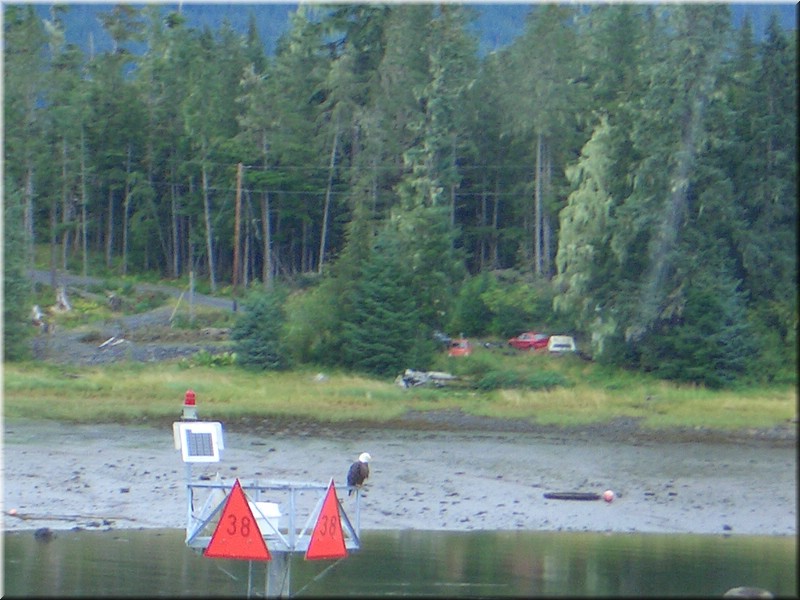 kanada06_134.jpg