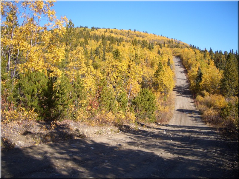 kanada06_190.jpg