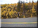 kanada06_151.jpg