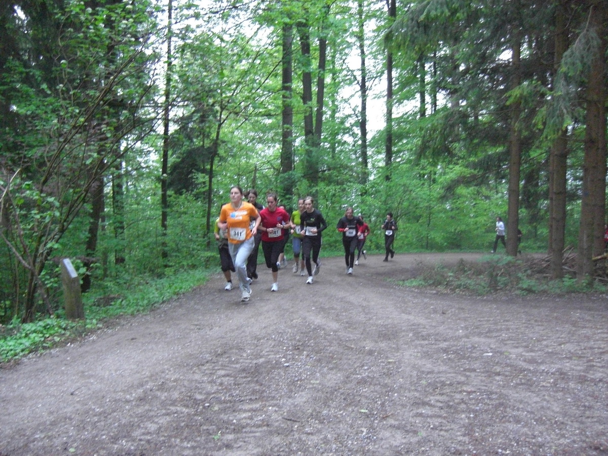 sola12.JPG (161721 Byte)