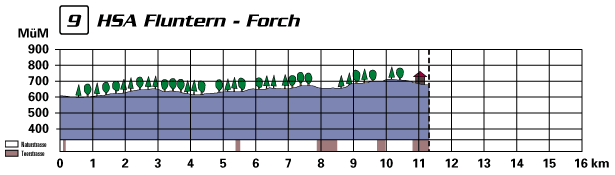 profil09.gif (15257 Byte)