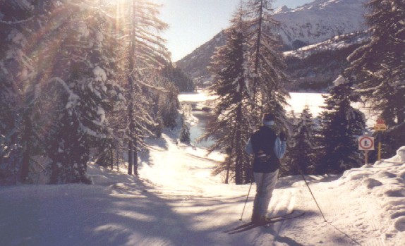 Schanze.JPG (65476 Byte)