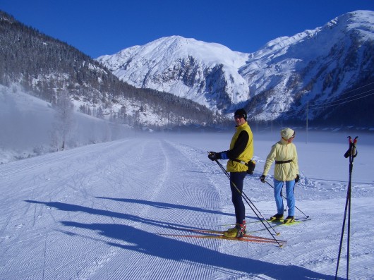 goms01.jpg (71322 Byte)