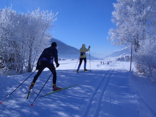 goms03.jpg (63920 Byte)