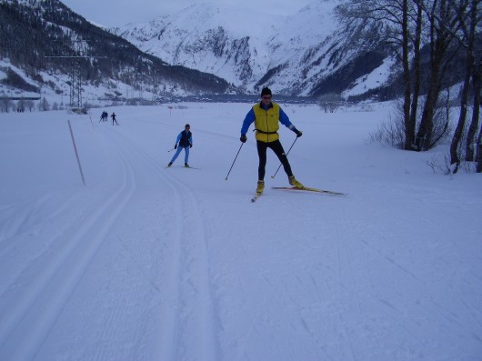 goms06.jpg (45489 Byte)